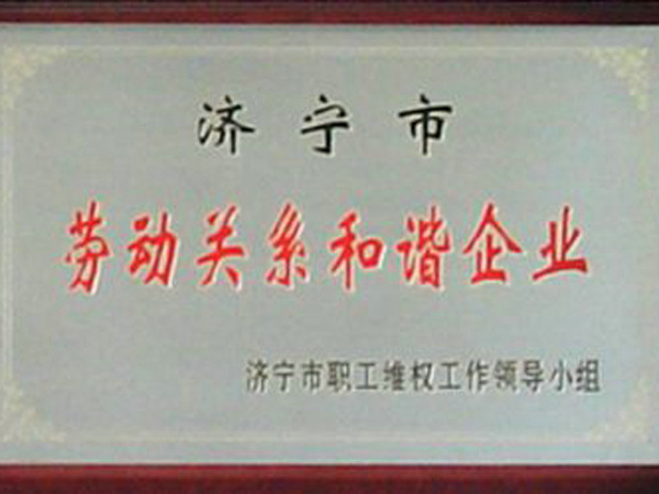 市級勞動關(guān)系和諧企業(yè).jpg