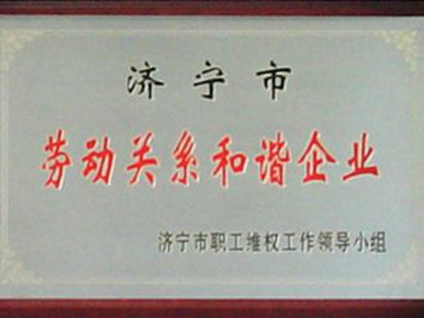 市級勞動關(guān)系和諧企業(yè)