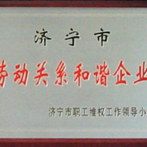 市級勞動關(guān)系和諧企業(yè)